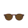 Oliver Peoples GREGORY PECK 1962 Sunglasses 131057 amaretto / striped honey - product thumbnail 1/4