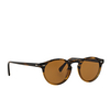 Oliver Peoples GREGORY PECK Sunglasses 100153 tortoise (8108) - product thumbnail 2/4