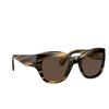 Oliver Peoples LALIT Sunglasses 100373 cocobolo - product thumbnail 2/4