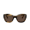 Gafas de sol Oliver Peoples LALIT 100373 cocobolo - Miniatura del producto 1/4