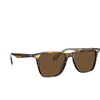 Oliver Peoples OLLIS Sunglasses 100357 cocobolo - product thumbnail 2/4