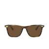 Oliver Peoples OLLIS Sunglasses 100357 cocobolo - product thumbnail 1/4