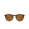 Oliver Peoples O'MALLEY Sunglasses 166653 362 / horn - product thumbnail 1/4