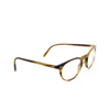 Oliver Peoples RILEY-R Eyeglasses 1211 moss tortoise - product thumbnail 2/4