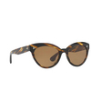 Oliver Peoples ROELLA Sunglasses 100383 cocobolo - product thumbnail 2/4
