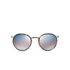 Persol PO2422SJ Sunglasses 1065O4 brown & striped grey & beige - product thumbnail 1/4
