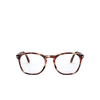 Persol PO3007VM Eyeglasses 1125 striped bordeaux & green - product thumbnail 1/4
