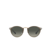 Persol PO3166S Sunglasses 110371 taupe grey - product thumbnail 1/4
