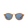 Persol PO3166S Sunglasses 960/56 striped brown - product thumbnail 1/4