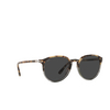 Persol PO3210S Sunglasses 1130B1 brown tortoise smoke - product thumbnail 2/4