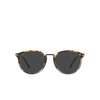 Persol PO3210S Sunglasses 1130B1 brown tortoise smoke - product thumbnail 1/4