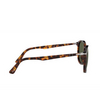 Persol PO3215S Sunglasses 24/31 havana - product thumbnail 3/4
