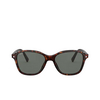Persol PO3244S Sunglasses 24/58 havana - product thumbnail 1/4