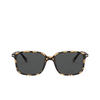 Gafas de sol Persol PO3246S 1056B1 brown & beige tortoise - Miniatura del producto 1/4