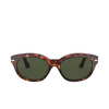 Persol PO3250S Sunglasses 24/31 havana - product thumbnail 1/4