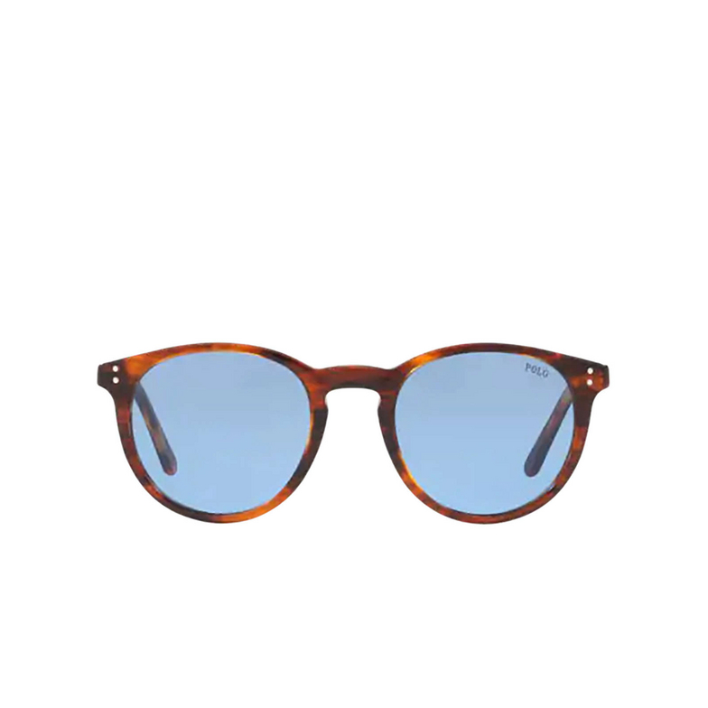 Polo Ralph Lauren PH4110 Sunglasses 500772 shiny striped havana - 1/3