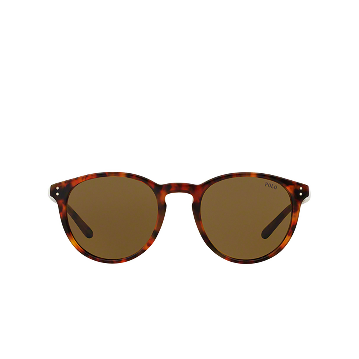 Polo Ralph Lauren® Round Sunglasses: PH4110 color Shiny Jerry Havana 501773 - front view.