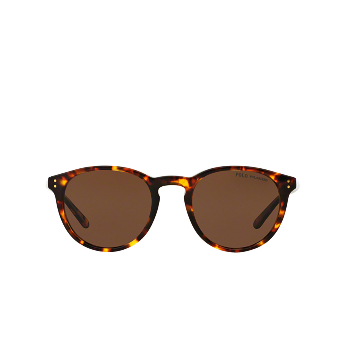 Polo Ralph Lauren PH4110 Sunglasses 513473 SHINY ANTIQUE HAVANA - front view