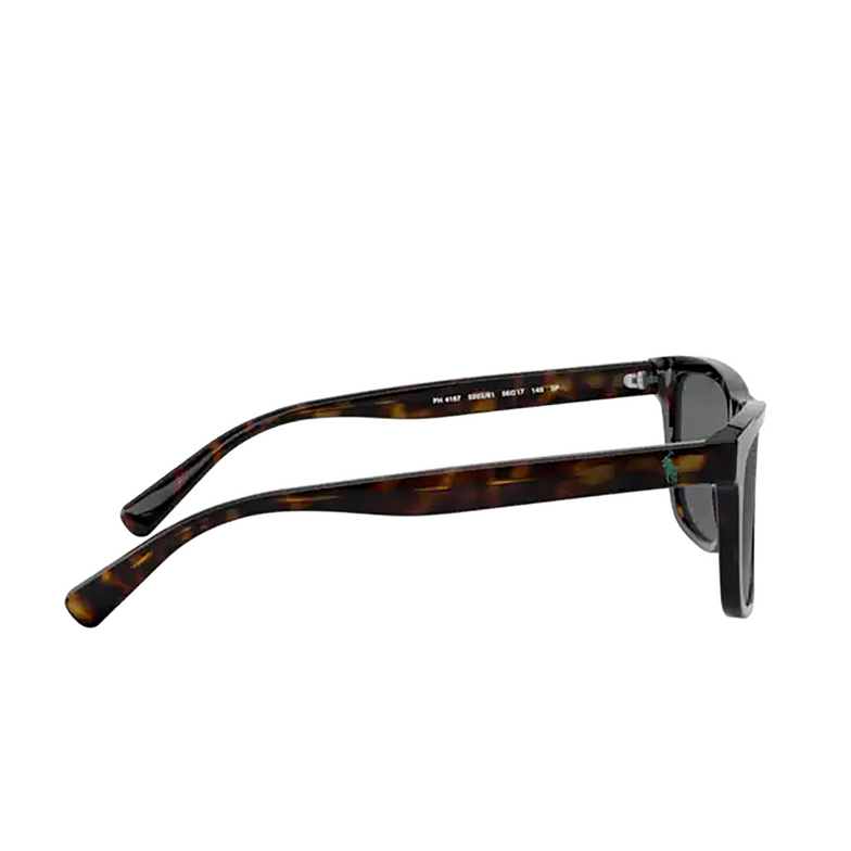Polo Ralph Lauren PH4167 Sunglasses 500387 shiny dark havana - 3/3