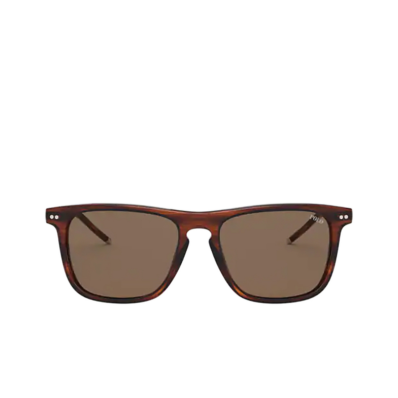 Polo Ralph Lauren PH4168 Sunglasses 500773 shiny striped havana - 1/3
