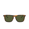 Polo Ralph Lauren PH4168 Sunglasses 501771 shiny jerry havana - product thumbnail 1/3