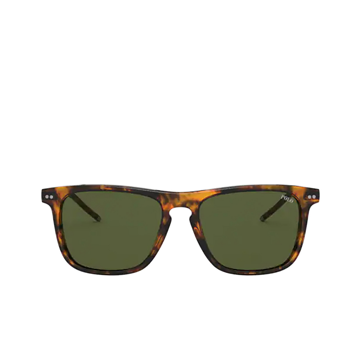 Polo Ralph Lauren PH4168 Sunglasses 501771 SHINY JERRY HAVANA - front view