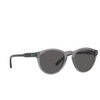 Polo Ralph Lauren PH4172 Sunglasses 595387 matte transparent dark grey - product thumbnail 2/3