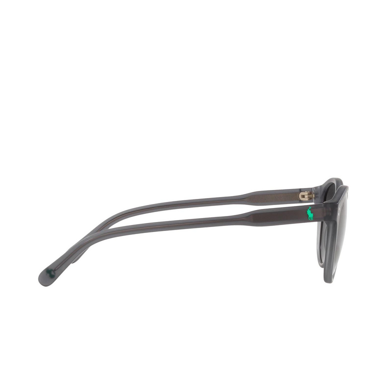 Polo Ralph Lauren PH4172 Sunglasses 595387 matte transparent dark grey - 3/3