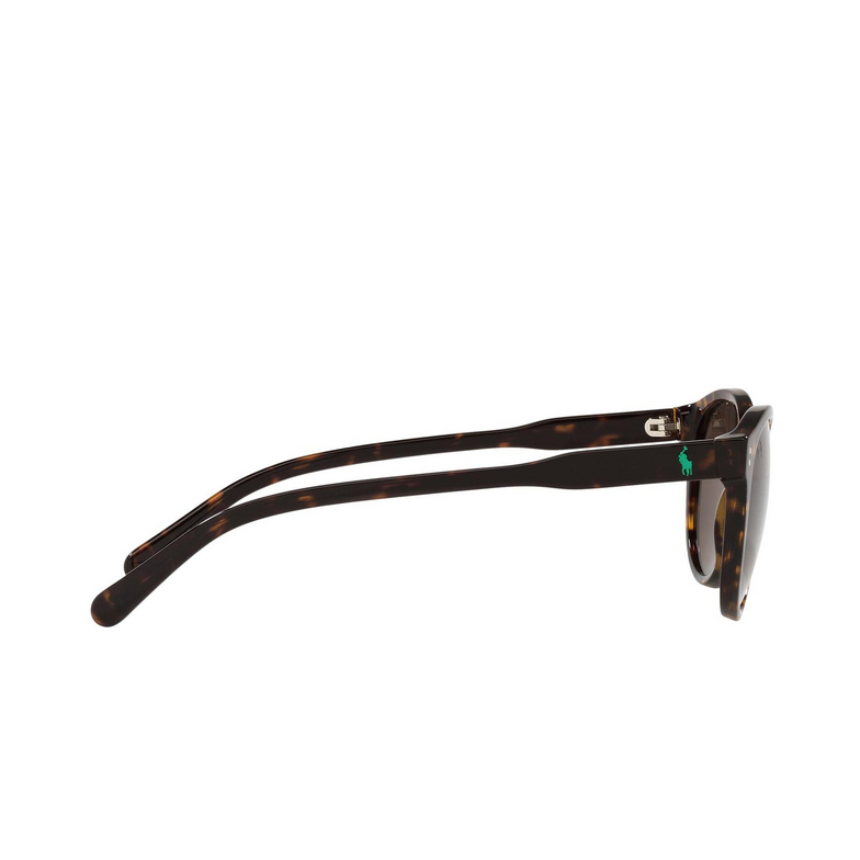 Polo Ralph Lauren PH4172 Sunglasses 595473 shiny dark havana - 3/3