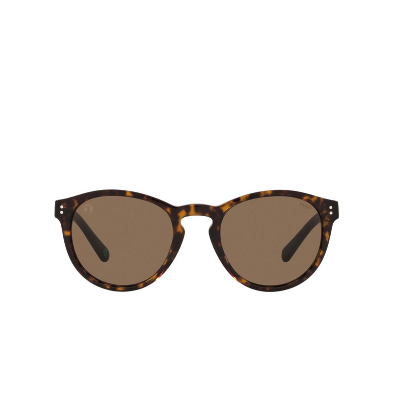 Polo Ralph Lauren PH4172 Sunglasses 595473 shiny dark havana - 1/3