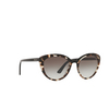 Prada CONCEPTUAL Sunglasses 3980A7 opal spotted brown / black - product thumbnail 2/4