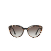 Prada CONCEPTUAL Sunglasses 3980A7 opal spotted brown / black - product thumbnail 1/4