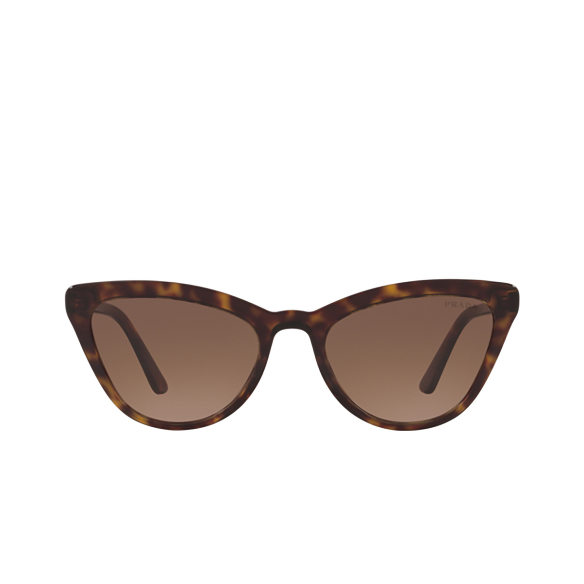 Prada PR 01VS Sunglasses 2AU6S1 HAVANA - front view