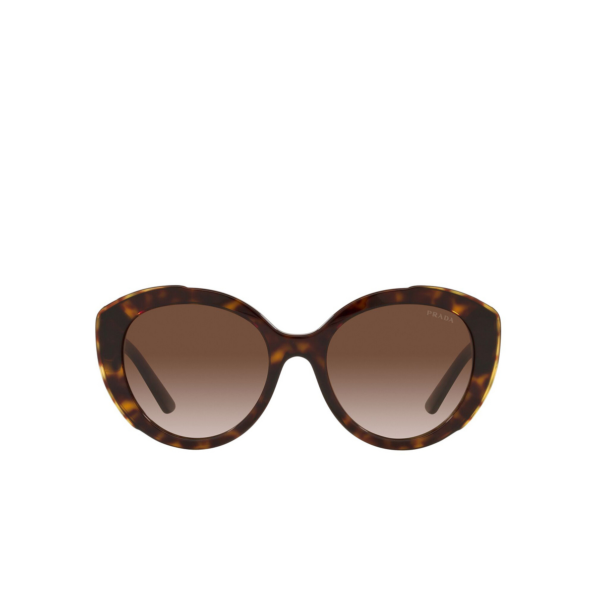 Prada® Butterfly Sunglasses: PR 01YS color Havana 2AU6S1 - front view.
