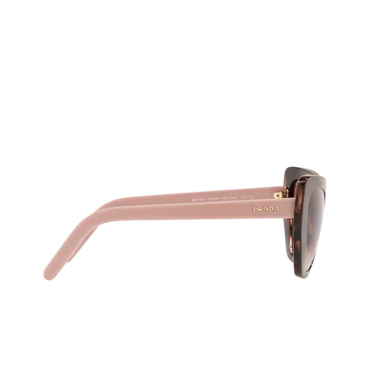 Prada PR 08VS Sunglasses ROL0A6 brown / spotted pink - 3/4