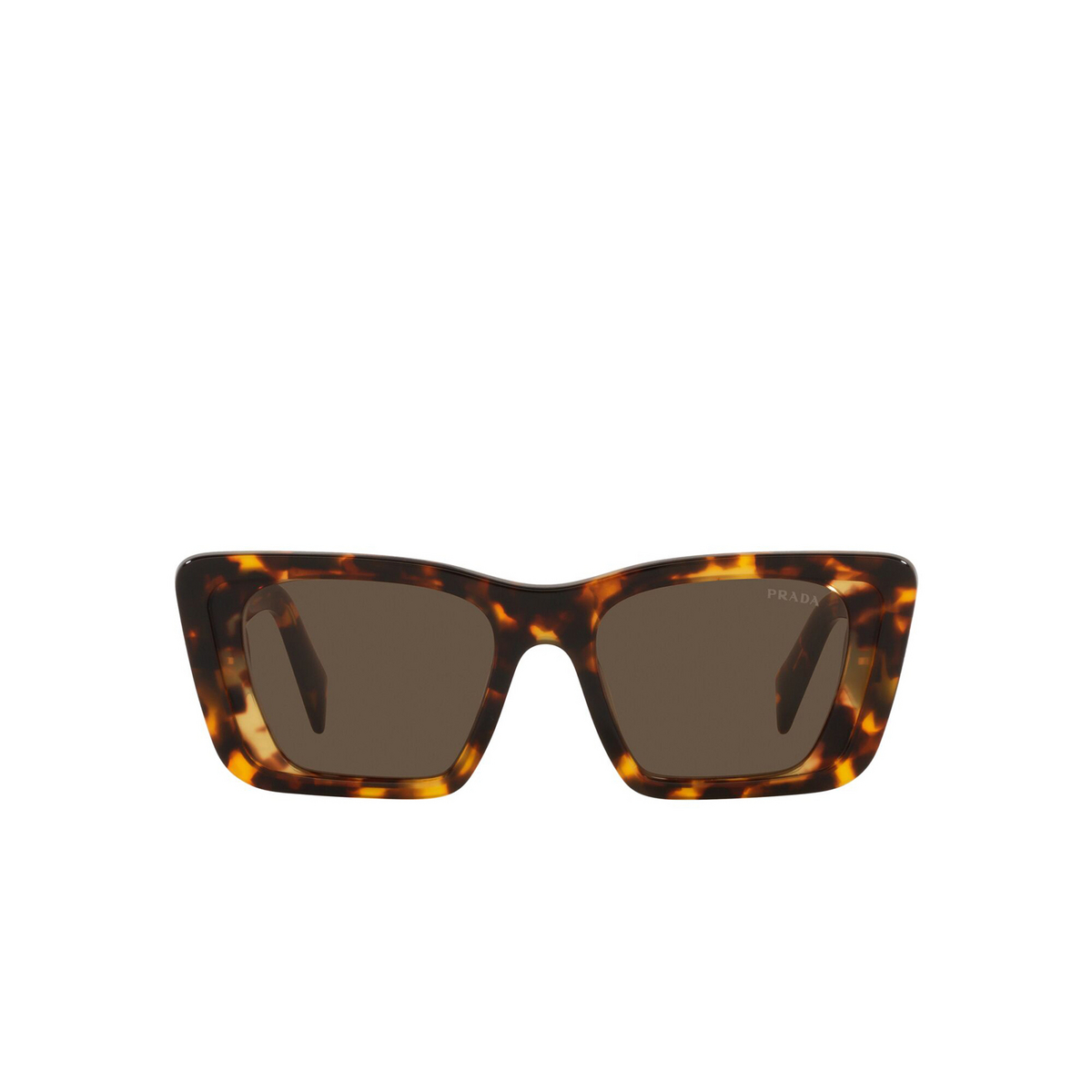 Prada® Butterfly Sunglasses: PR 08YS color Havana Honey 01V8C1 - front view.
