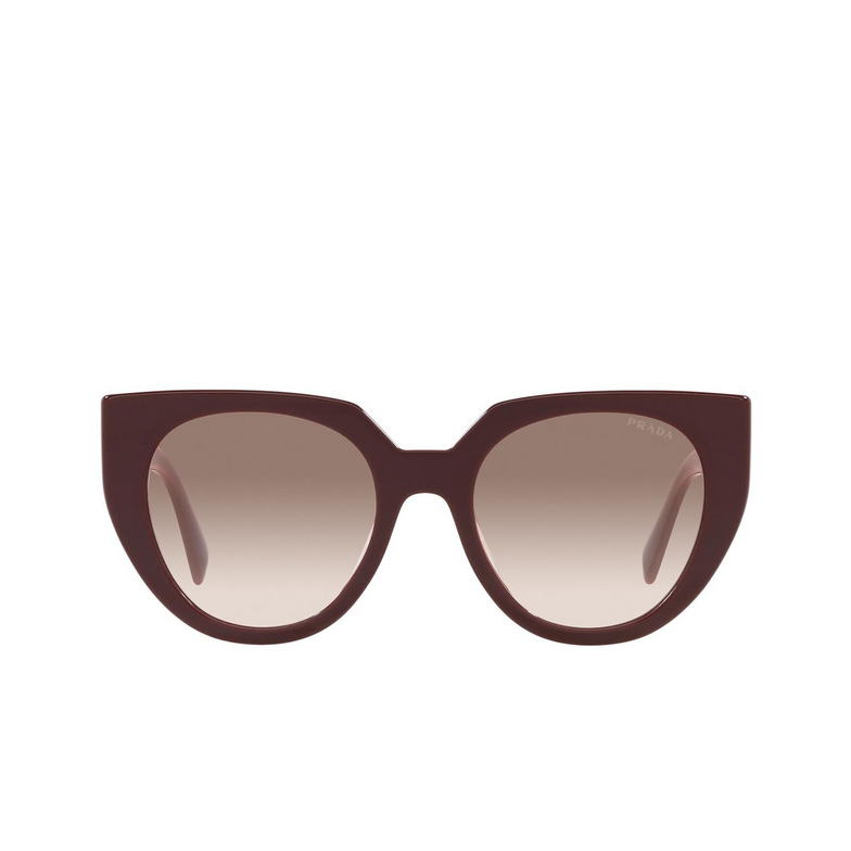 Prada PR 14WS Sunglasses VIY1L0 garnet - 1/4