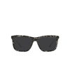 Prada PR 18WS Sunglasses VH308G matte dark grey tortoise - product thumbnail 1/4