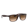 Ray-Ban ANDY Sunglasses 607313 matte brown on brown - product thumbnail 2/4