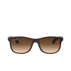 Ray-Ban ANDY Sunglasses 607313 matte brown on brown - product thumbnail 1/4