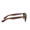 Ray-Ban ANDY Sunglasses 607313 matte brown on brown - product thumbnail 3/4