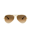 Ray-Ban AVIATOR LARGE METAL Sunglasses 001/51 arista - product thumbnail 1/3