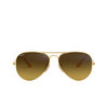 Ray-Ban AVIATOR LARGE METAL Sunglasses 112/85 matte arista - product thumbnail 1/4
