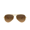 Ray-Ban AVIATOR LARGE METAL Sunglasses 112/M2 matte arista - product thumbnail 1/4