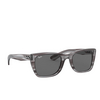 Ray-Ban CARIBBEAN Sunglasses 1314B1 striped grey - product thumbnail 2/4