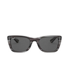 Ray-Ban CARIBBEAN Sunglasses 1314B1 striped grey - product thumbnail 1/4
