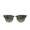 Ray-Ban CLUBMASTER Sunglasses 125571 spotted grey / green - product thumbnail 1/4