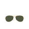 Ray-Ban COCKPIT Sunglasses 001 arista - product thumbnail 1/4
