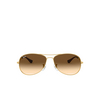 Ray-Ban COCKPIT Sunglasses 001/51 arista - product thumbnail 1/4