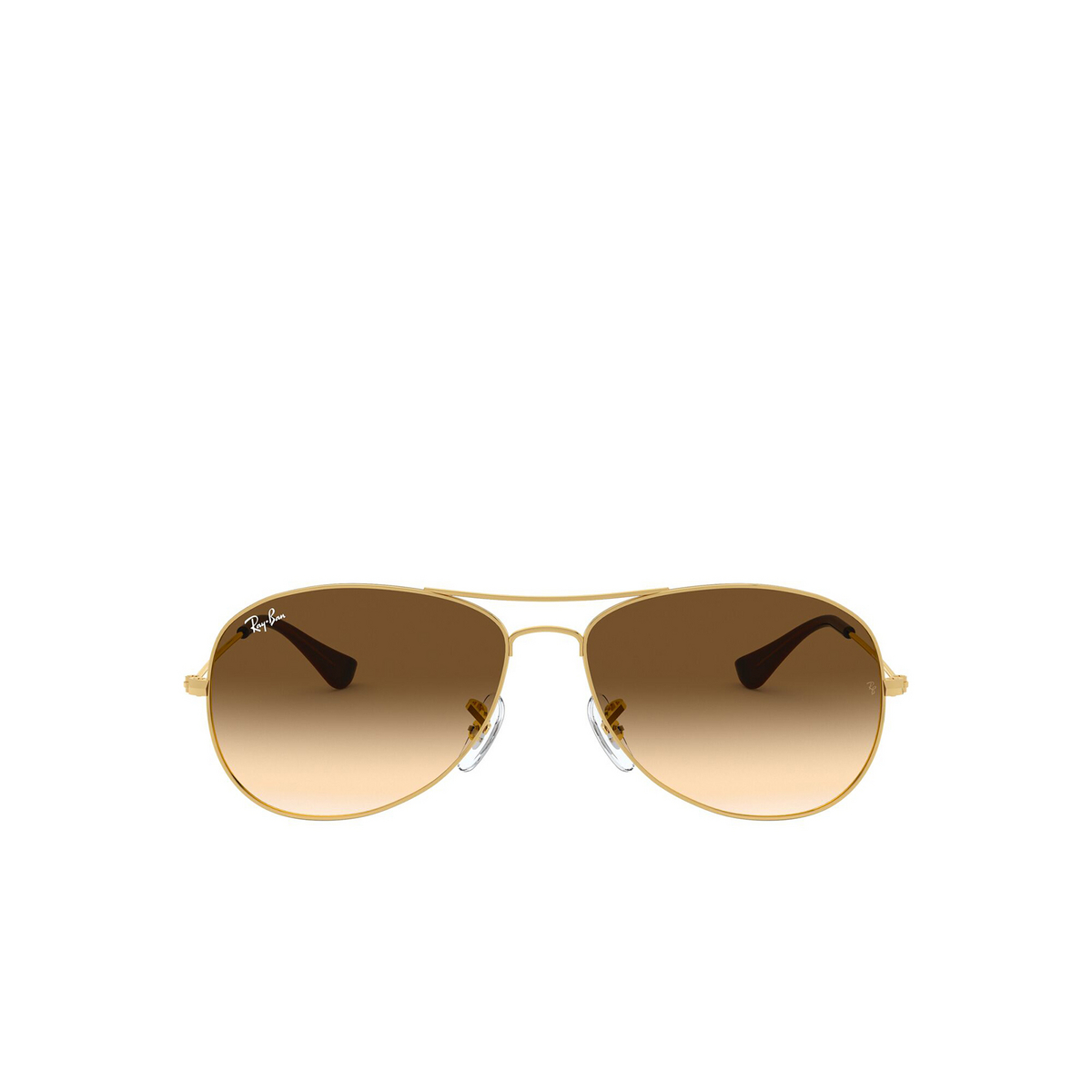 Ray-Ban COCKPIT Sunglasses 001/51 Arista - front view